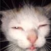 mango_enjoyer
